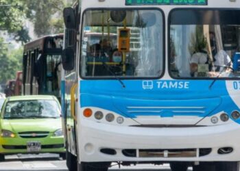 Los domingos de enero, los viajes en colectivo urbano serán gratuitos