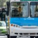 Los domingos de enero, los viajes en colectivo urbano serán gratuitos