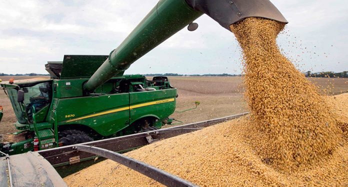 La Aduana y Gendarmería evitaron el contrabando de 150 toneladas de soja con destino a Brasil