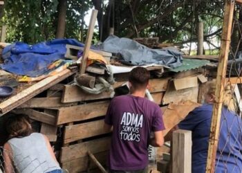 Secuestraron más de 15 perros, 8 gatos y 11 gallinas de la vivienda de la mujer atacada por el Pitbull