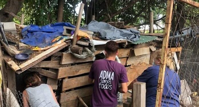 Secuestraron más de 15 perros, 8 gatos y 11 gallinas de la vivienda de la mujer atacada por el Pitbull