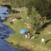 La Cámara Argentina de Turismo proyecta una ocupación superior al 80% para la temporada de verano