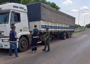 La Afip detectó 113 toneladas de granos sin declarar durante controles en el NEA