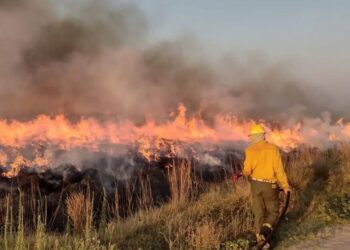 Un incendio en los Esteros del Iberá lleva 55 días activo y ya arrasó con 5 mil hectáreas
