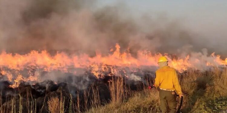 Un incendio en los Esteros del Iberá lleva 55 días activo y ya arrasó con 5 mil hectáreas