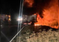Se incendió un camión que transportaba vacas y varias fallecieron