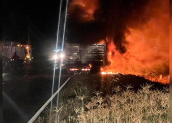 Se incendió un camión que transportaba vacas y varias fallecieron