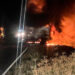 Se incendió un camión que transportaba vacas y varias fallecieron