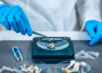 Australia legaliza el uso medicinal del éxtasis y hongos alucinógenos