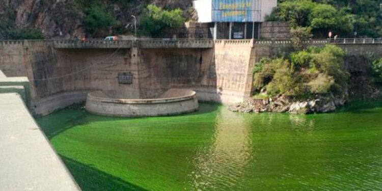La Municipalidad de Carlos Paz denunció a la Cooperativa Integral por contaminar el lago