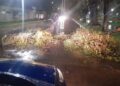 Relevan daños tras la tormenta en el departamento Río Cuarto