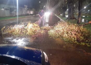Relevan daños tras la tormenta en el departamento Río Cuarto