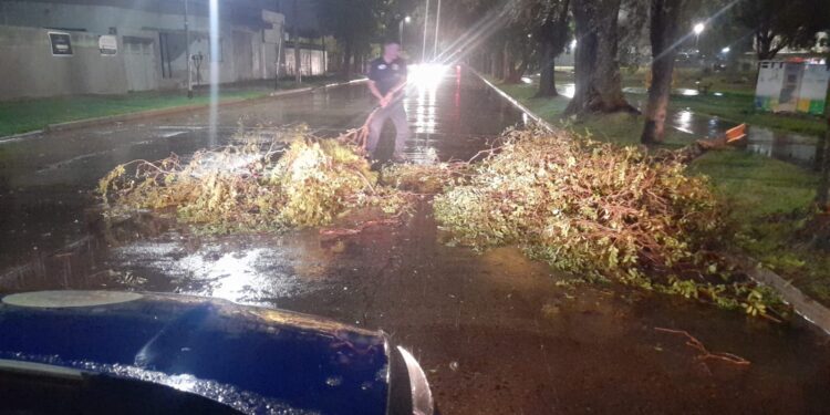 Relevan daños tras la tormenta en el departamento Río Cuarto