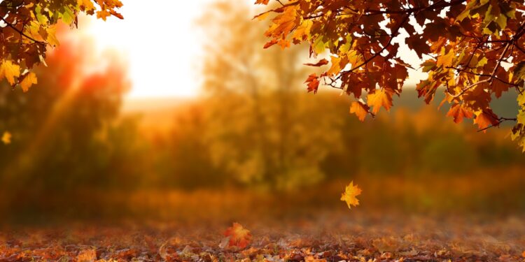 Despedida del verano: comienza el Otoño en la Argentina