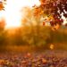 Despedida del verano: comienza el Otoño en la Argentina