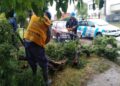Las fuertes tormentas ocasionaron daños en distintos puntos de la provincia