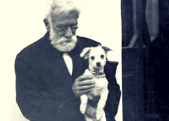 Día del Animal: ¿por qué se celebra el 29 de abril?