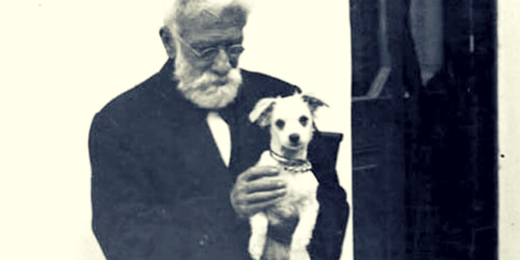 Día del Animal: ¿por qué se celebra el 29 de abril?