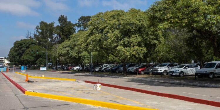 El cantero central de Avenida Nores Martínez llega a su tramo final de construcción