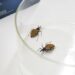 Actividades por el Día Mundial de Chagas