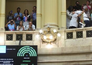 El Senado aprobó por unanimidad la "Ley Lucio"