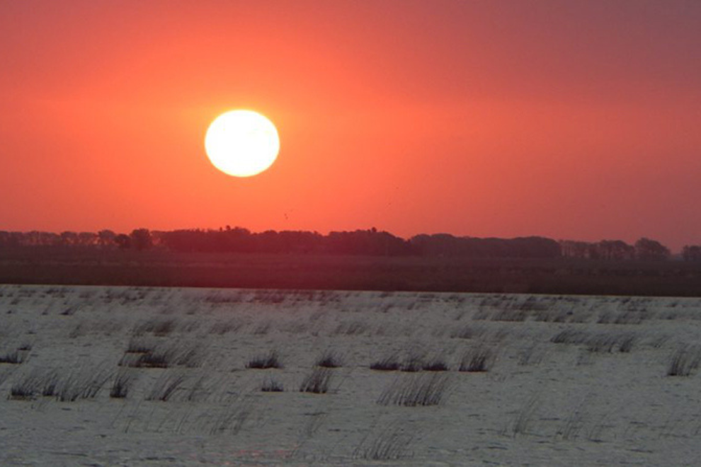 Elaboran planes de manejo para las Reservas La Felipa y Mar Chiquita