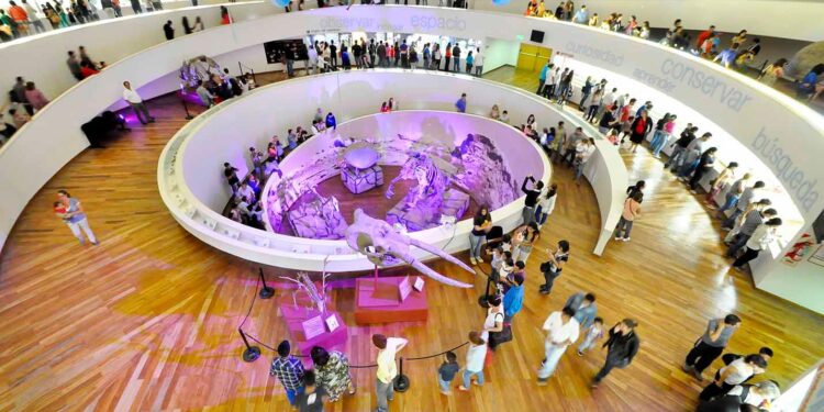 En el Día Internacional de los Museos, la provincia invita a visitarlos