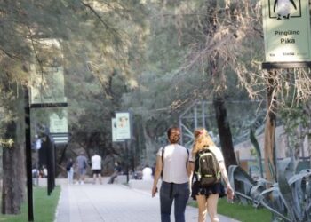 Propuestas recreativas para el fin de semana en la Ciudad