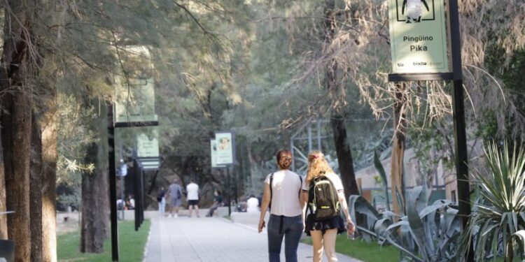 Propuestas recreativas para el fin de semana en la Ciudad