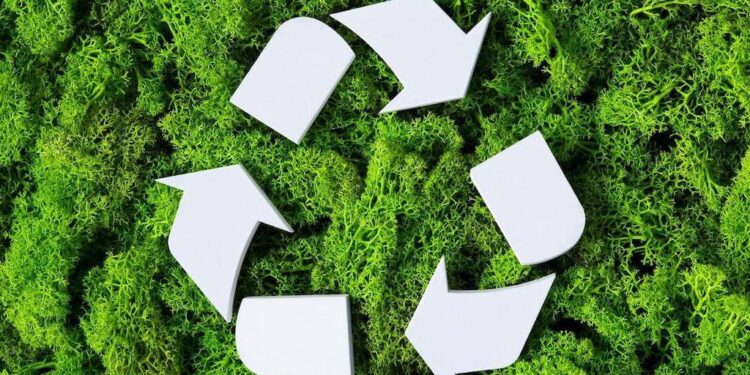 17 de mayo: Día Mundial del Reciclaje