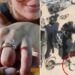 Caso Cecilia Strzyzowski: la familia reconocerá los objetos hallados