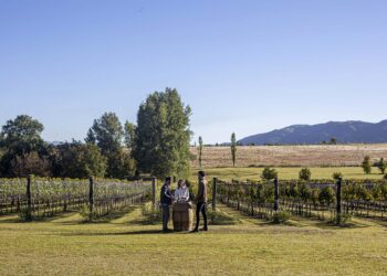 Finde XXL: los niveles de ocupación turística promediaron el 70%