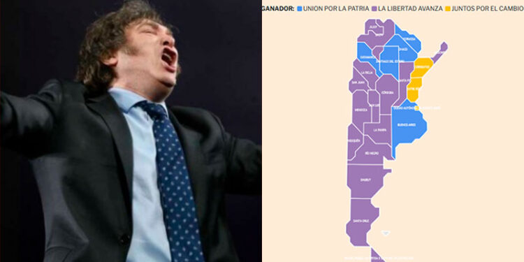 Milei ganó las PASO: en qué provincias triunfó La Libertad Avanza