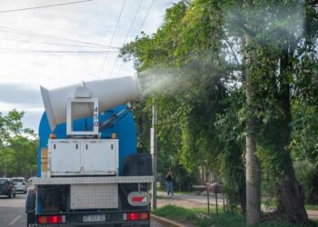 Dengue: hoy fumigan en la zona suroeste de la ciudad