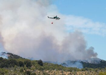 El fuego consumió más de 2.000 hectáreas en el Parque Los Alerces