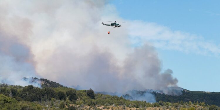 El fuego consumió más de 2.000 hectáreas en el Parque Los Alerces