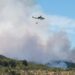 El fuego consumió más de 2.000 hectáreas en el Parque Los Alerces