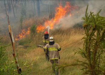 El incendio en Parque Nacional Los Alerces arrasó 577 hectáreas