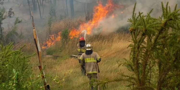 El incendio en Parque Nacional Los Alerces arrasó 577 hectáreas