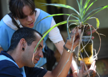 Inician los operativos contra el Dengue en Córdoba