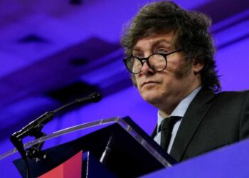 Milei indicó que si el DNU no pasa Diputados, volverán a la carga con otros decretos