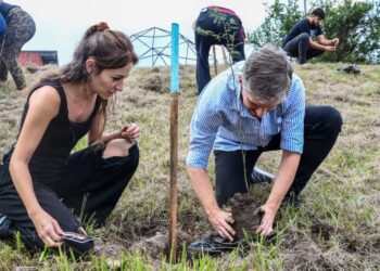 Plantando memoria: el "bosque de bolsillo" que crece en el Espacio La Perla