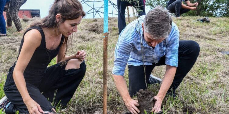 Plantando memoria: el "bosque de bolsillo" que crece en el Espacio La Perla