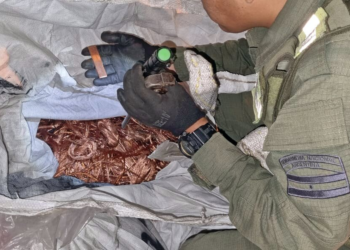 Gendarmería desbarató un traslado ilegal de 28 toneladas de cobre