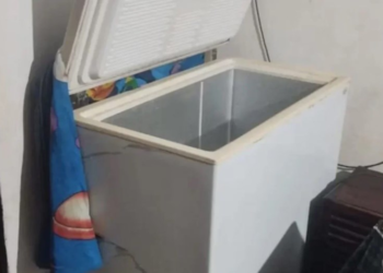 La autopsia al cuerpo del adolescente hallado en un freezer no fue concluyente