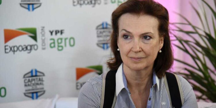 Exigen explicaciones a Mondino ante la ampliación británica en la zona marítima de Malvinas