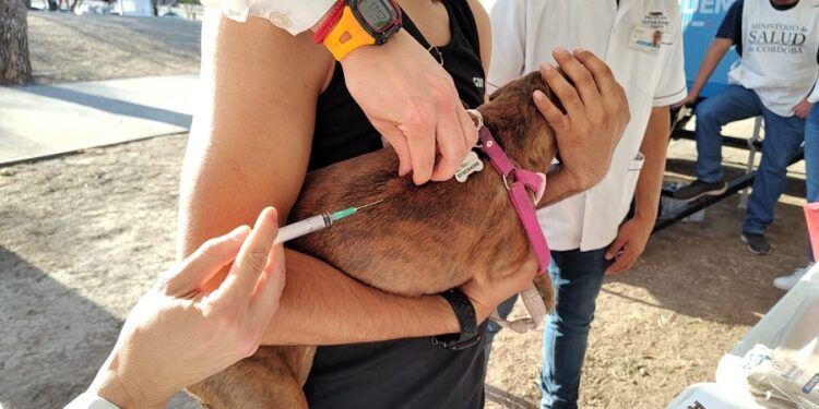 Semana de vacunación antirrábica en el Parque de las Tejas