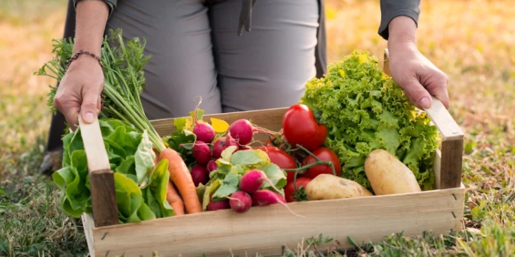 Abrió la inscripción para recibir kits de semillas del programa Huerta en tu Hogar