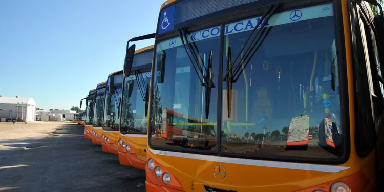 Colectivos de Coniferal y Tamse reducen los horarios