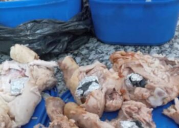 Llevaba droga en presas de pollo a su hermano que estaba en la cárcel para comercializarla